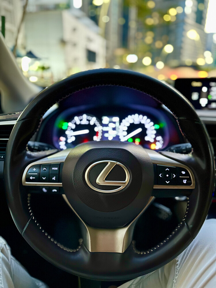 lexus rx350 original paint 2019 - 6