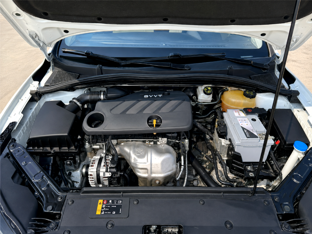 MG5 2021 - 4