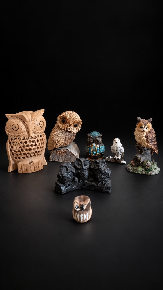 owl collection - 3