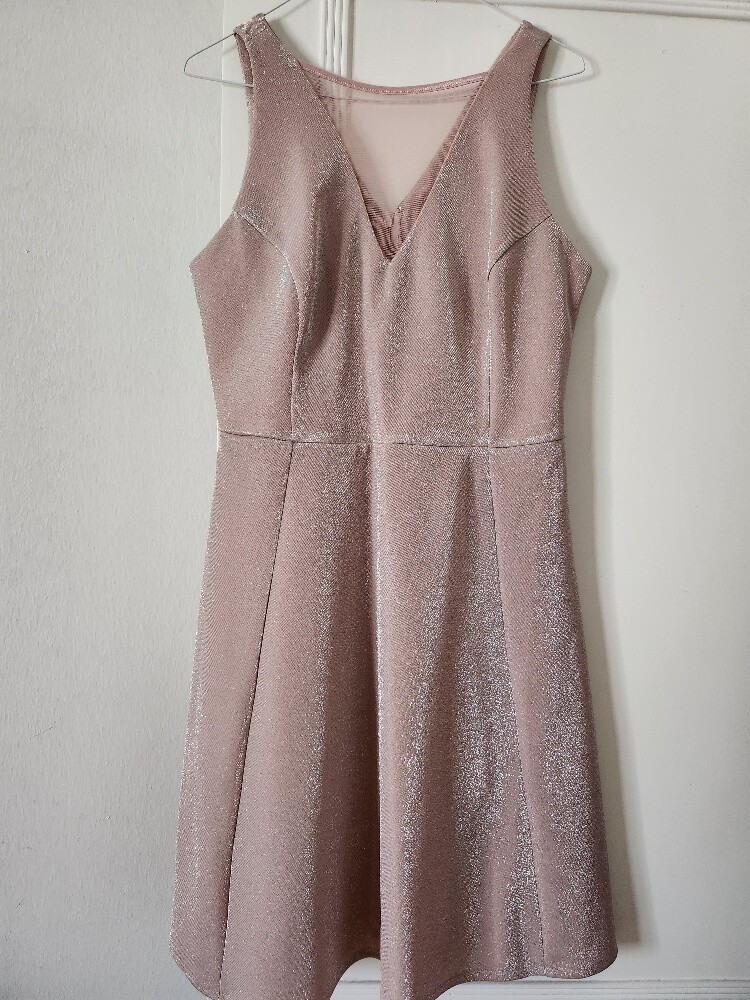 Blush shiny knee length dress - 1