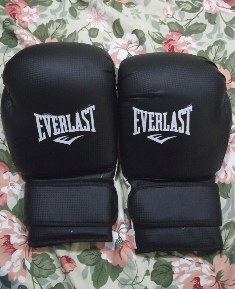 Everlast Pro Boxing Gloves / Focus - 4
