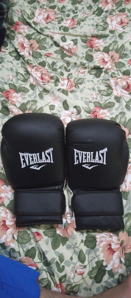 Everlast Pro Boxing Gloves / Focus - 2