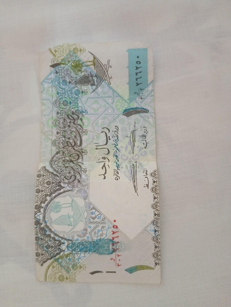 عملات مصرية وقطرية - 16