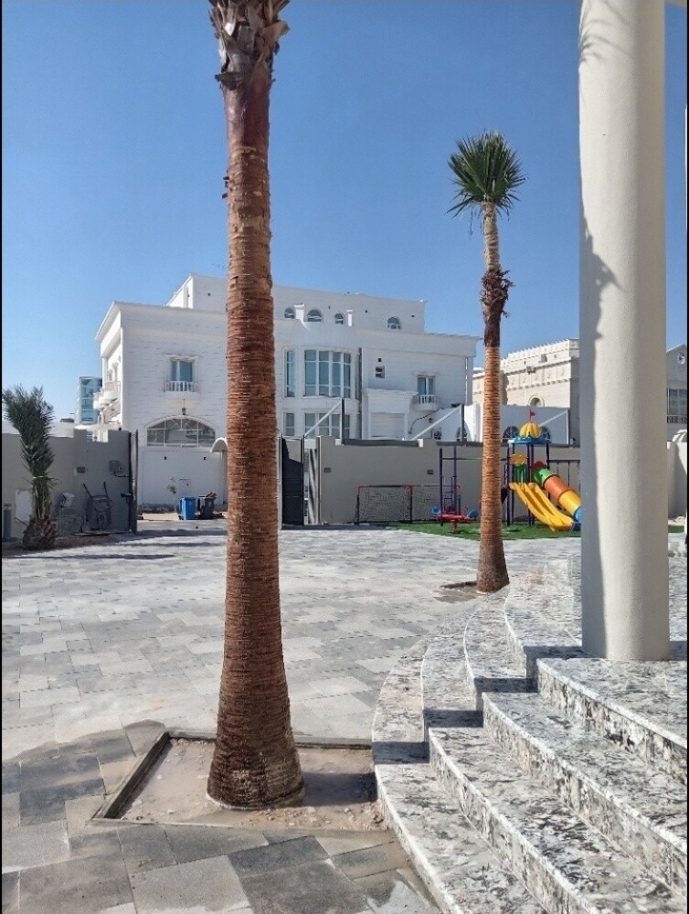 عمل شبكات الري بلتنقيط - 2