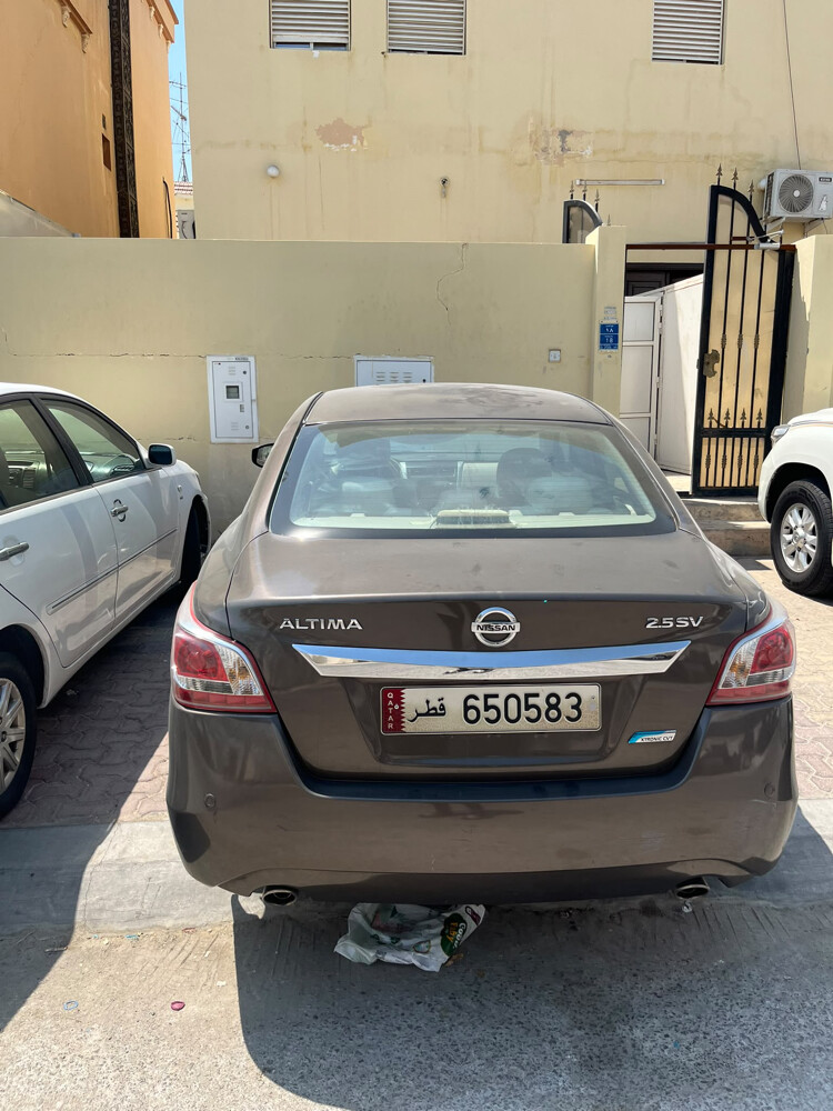 نسيان التيماء 2013 - 3