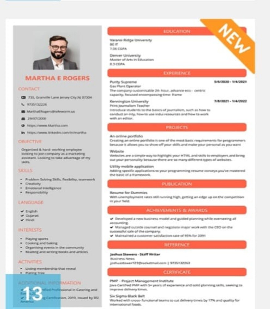 Professional CV Maker - 2