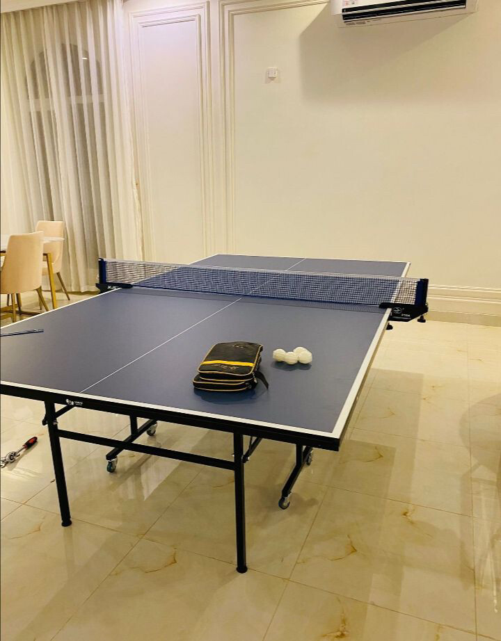 Air Hockey table - 9