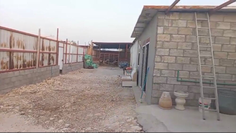 عزبة - 3