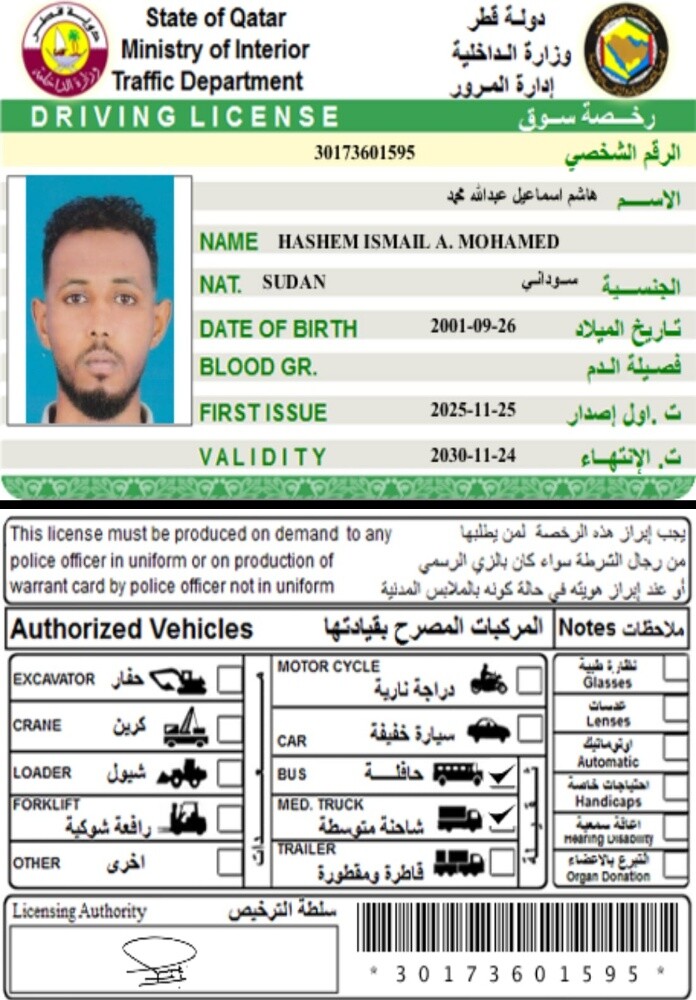 هاشم اسماعيل - 1
