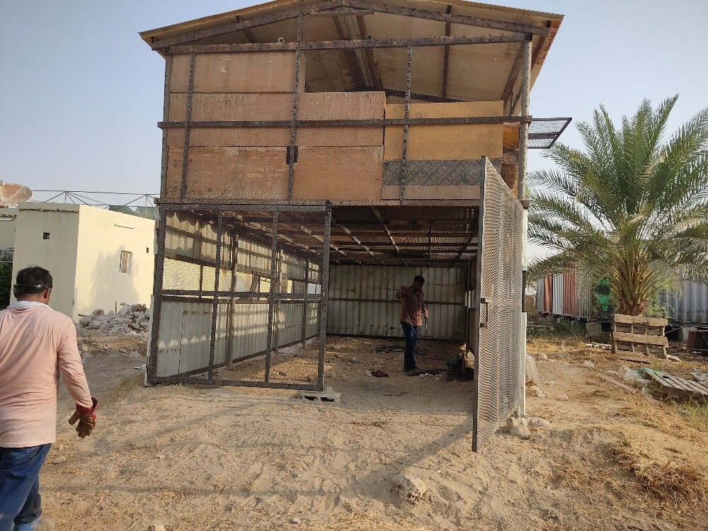 Pigeon Cage new mack - 1