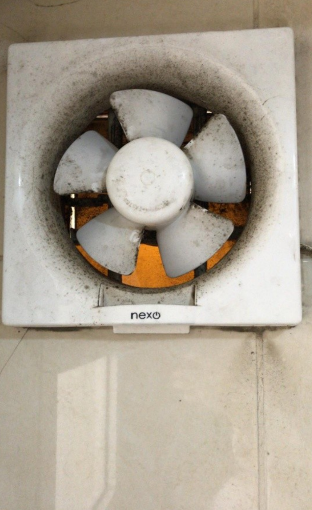 Electric wark - 3