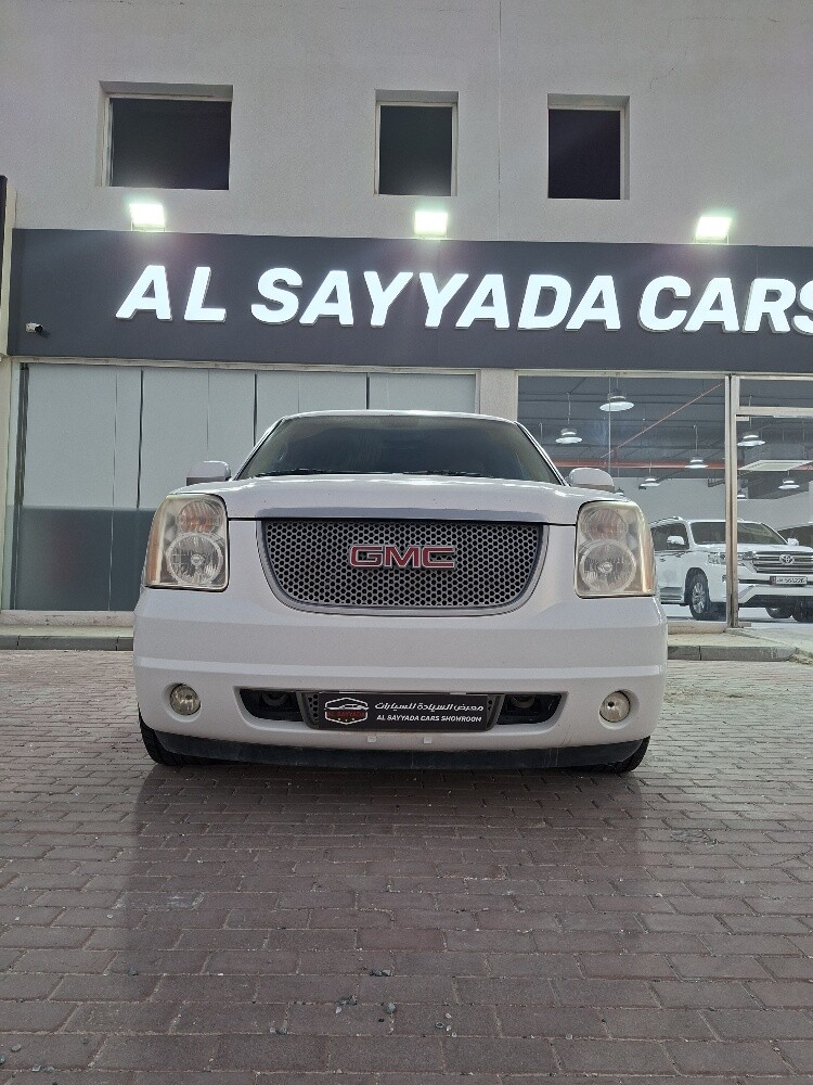 دينالي 2009 - 1
