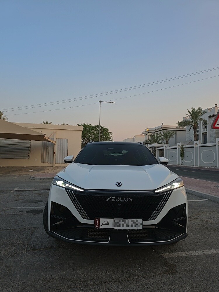 دونجبينج ميج ٢٠٢٥ - 2