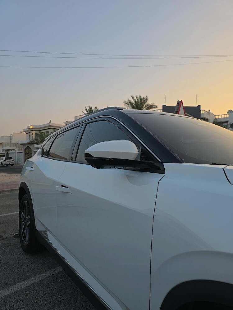 دونجبينج ميج ٢٠٢٥ - 4