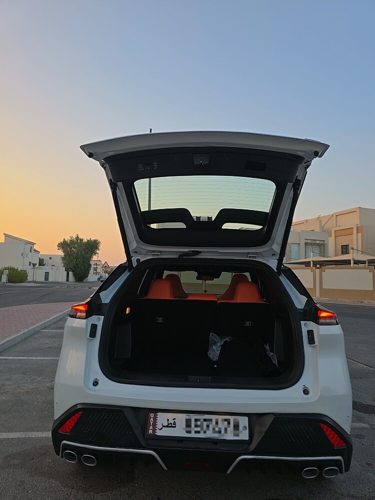 دونجبينج ميج ٢٠٢٥ - 16