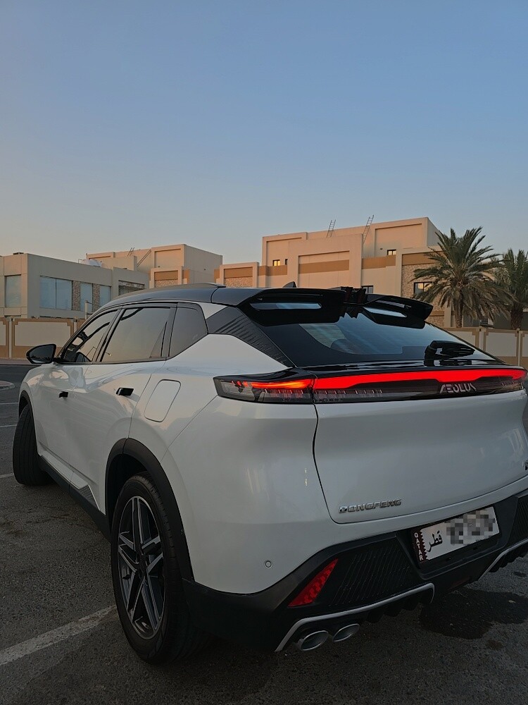 دونجبينج ميج ٢٠٢٥ - 7
