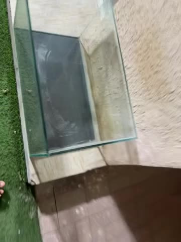 Fish tank - 4