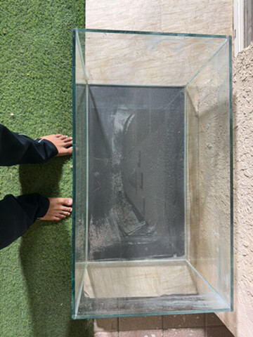 Fish tank - 2