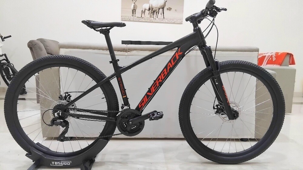 Silverback 29ers Medium Frame - 1