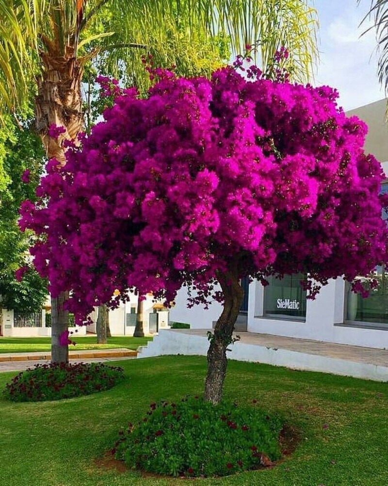 اعمال الشلالات والنوافير والجلسات - 2