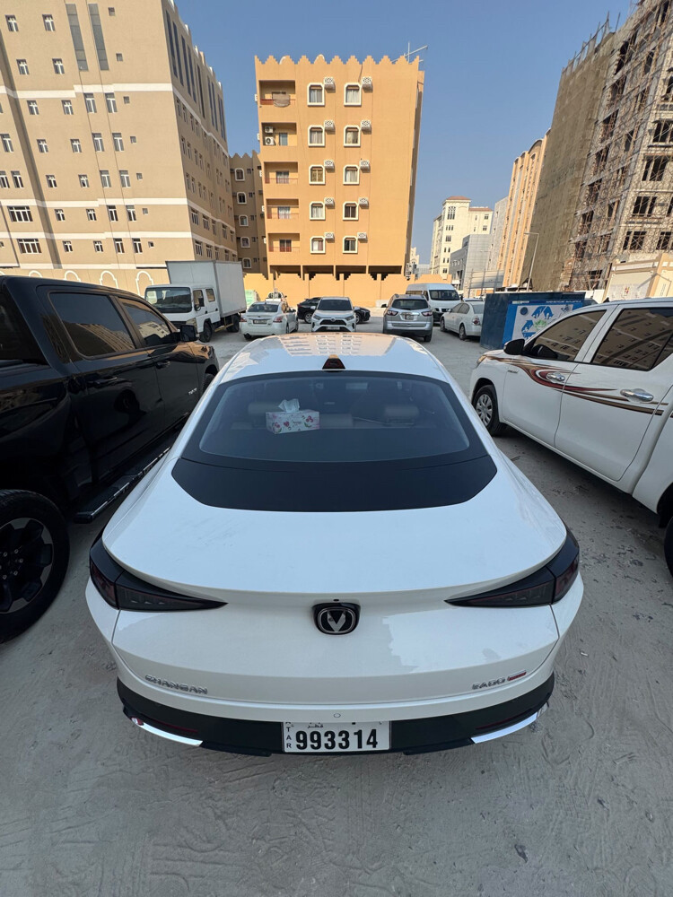 للبيع - 5