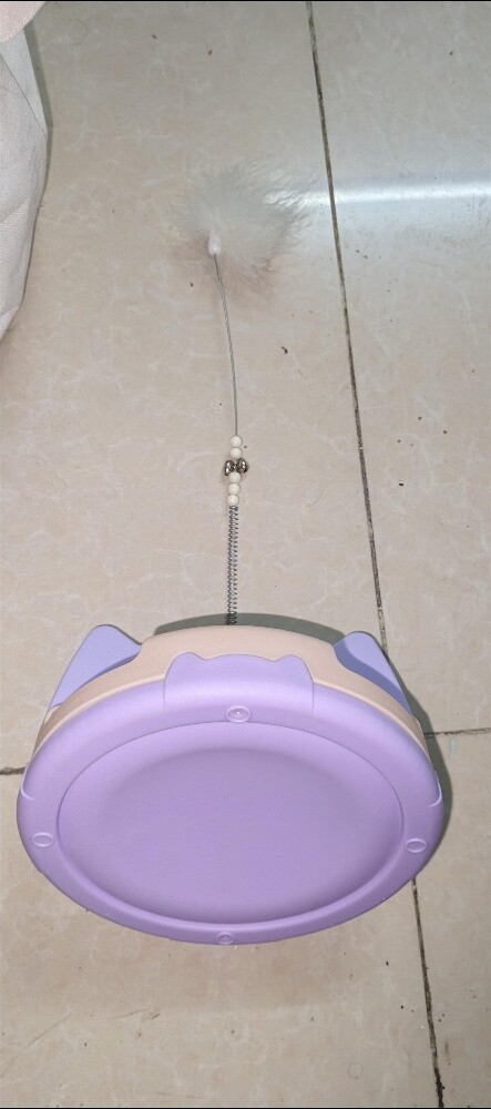 Cat Favorite Toys with Laser Light - 4