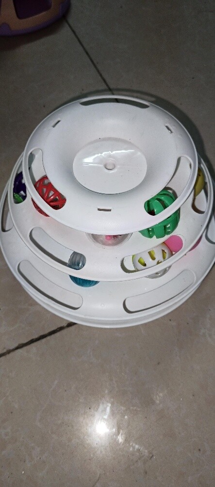 Cat Favorite Toys with Laser Light - 6