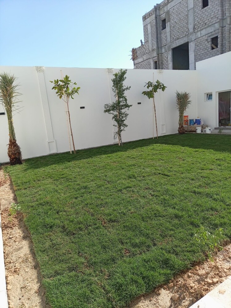 ابو ايه - 5