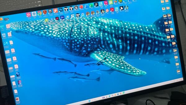 CoreUltra I9 64GB Ram with 32" mon - 3