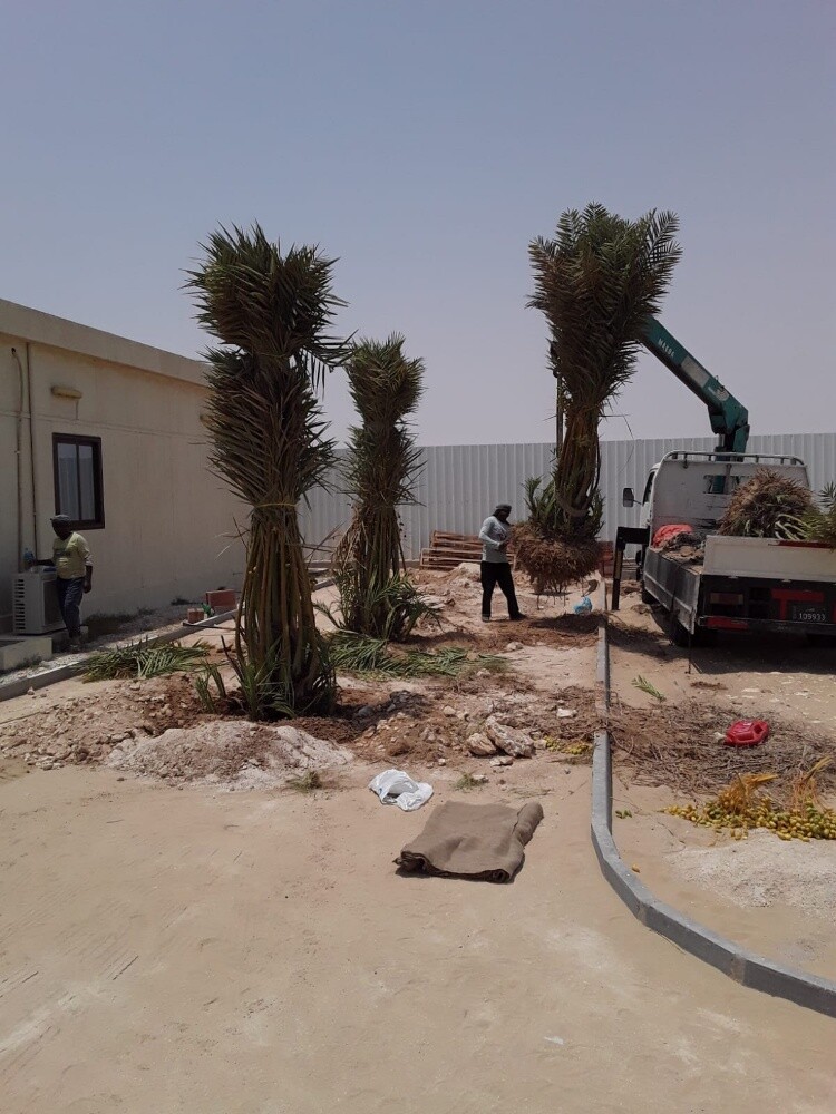 مزارع ومنسق حدائق 55079950 - 6