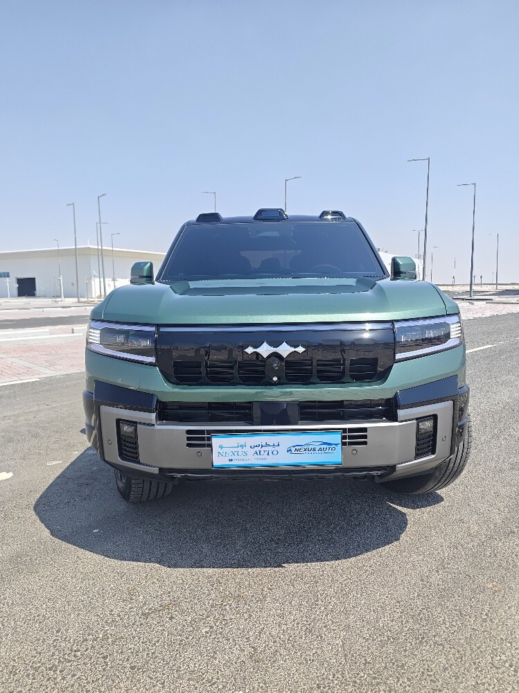 بي واي دي ليوبارد ٨ فلاج شيب ٢٠٢٦ - 2