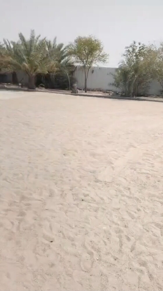 عزبه في ابو نخلة - 3