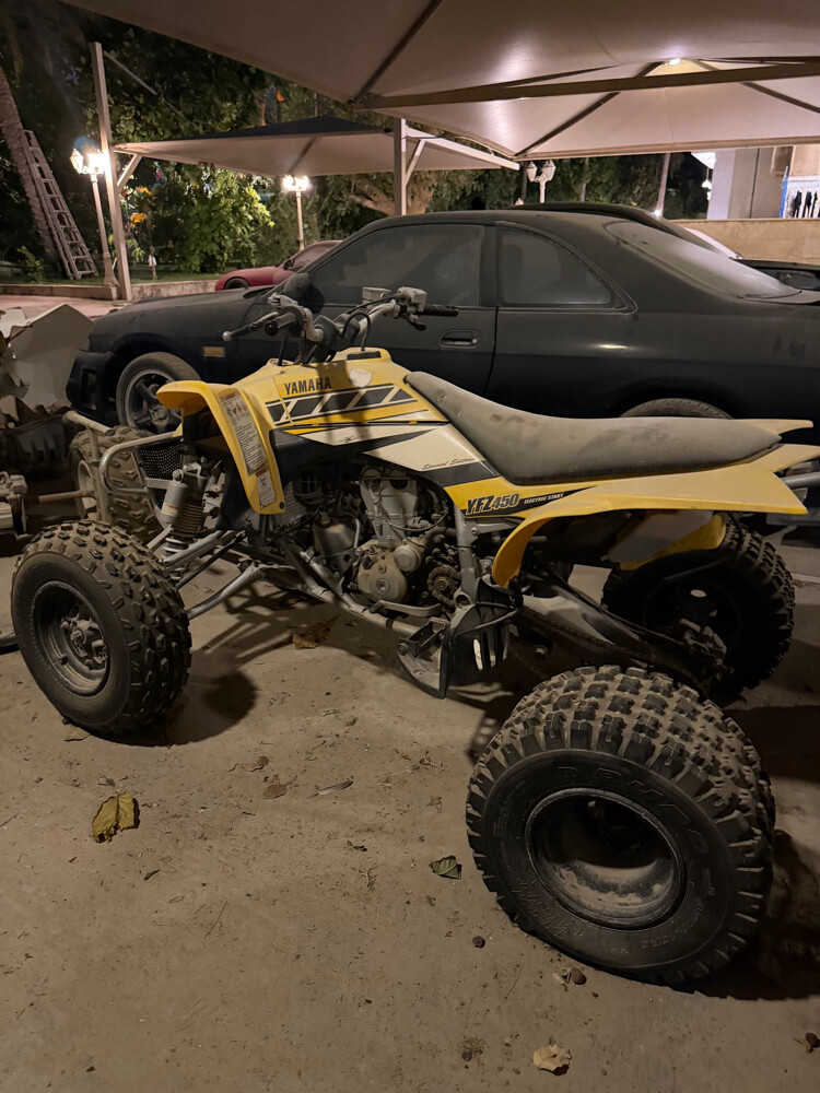 buggy - 1