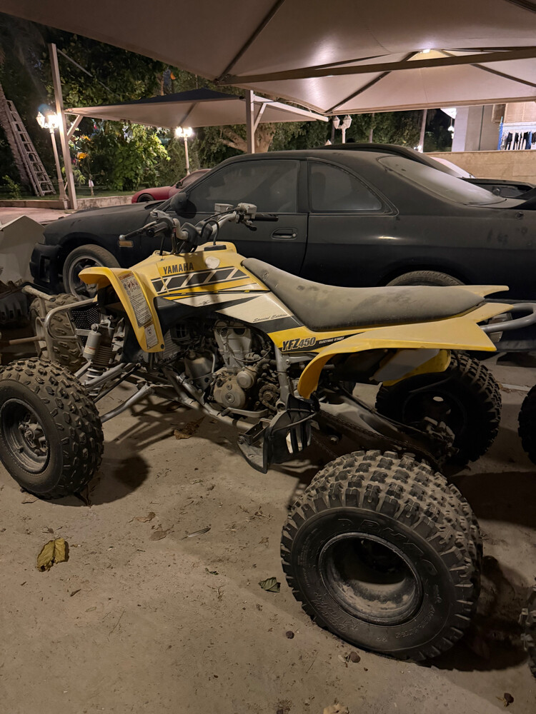 buggy - 6