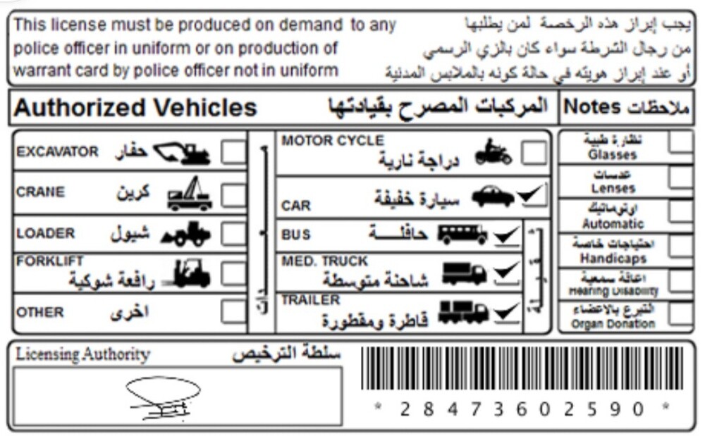سائق ليسن ثقيل - 1