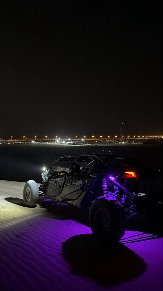 للبيع كنم  - 3