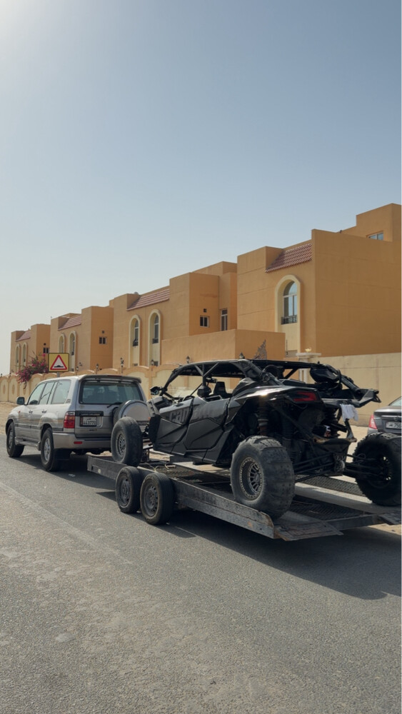 للبيع كنم  - 2