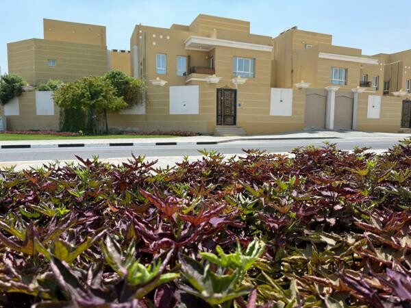 ستديو للايجار بمعيذر - 1