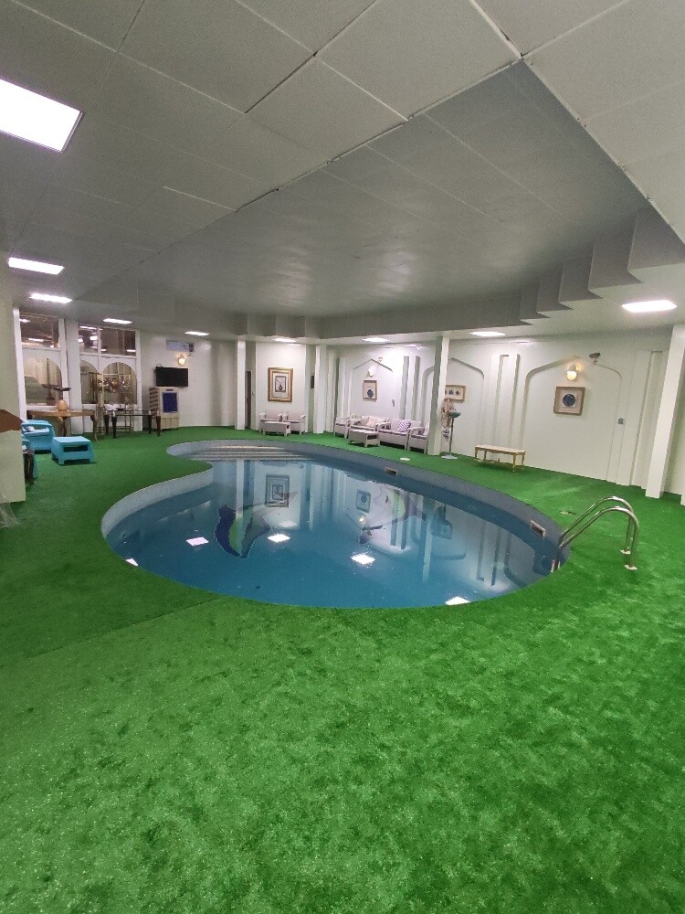 Artificial grass, grass carpet - 3