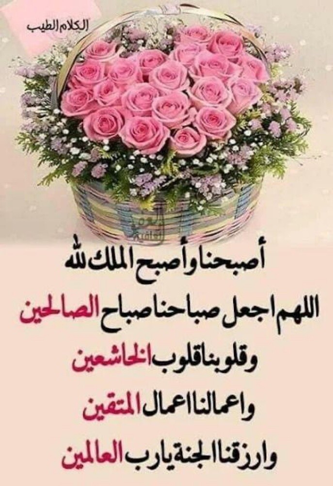 ابحث عن عمل كمحامى اومساعد قانونى - 1