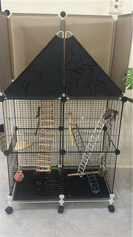 Bird cage - 1
