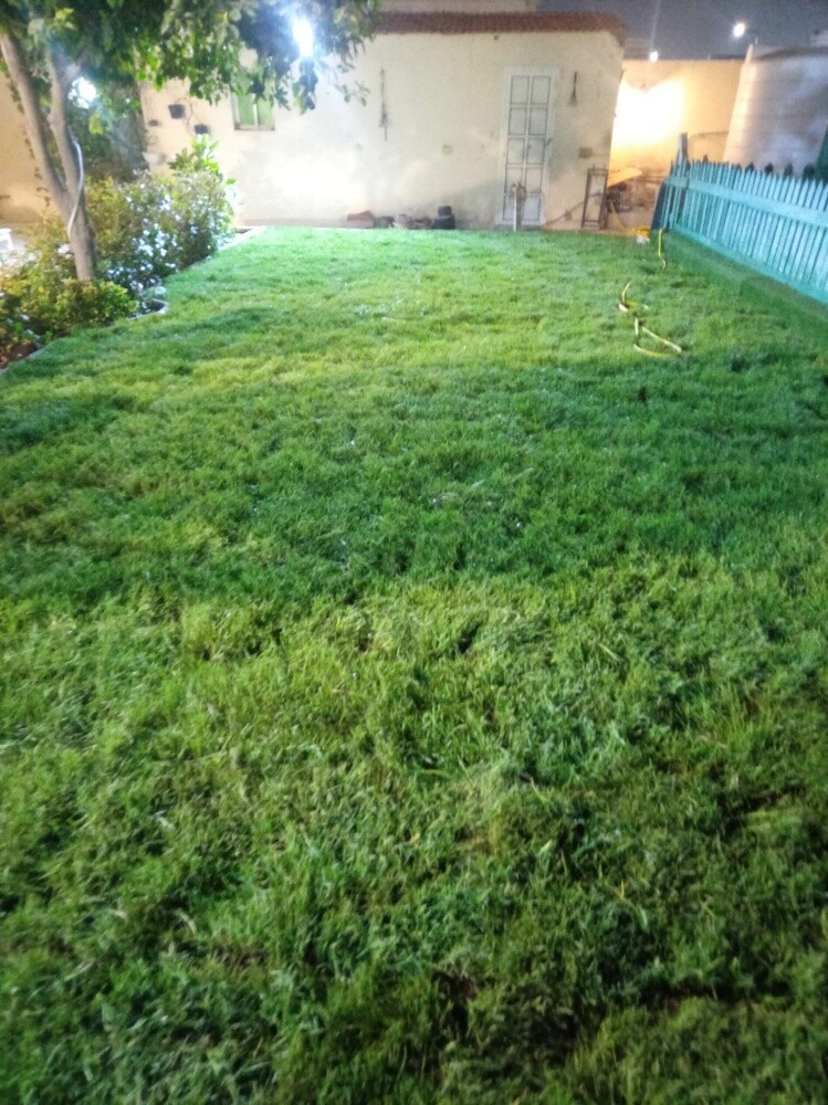 ابو ايه - 4