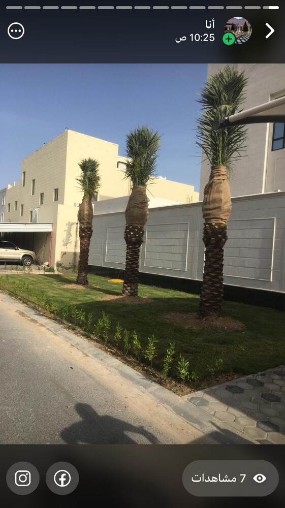 ابو ايه - 1