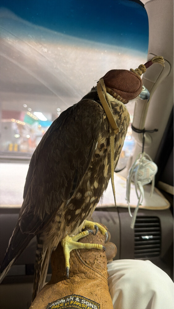 وكري  - 2