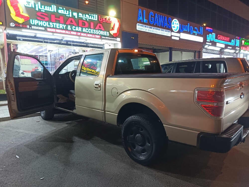 ford f150 - 10