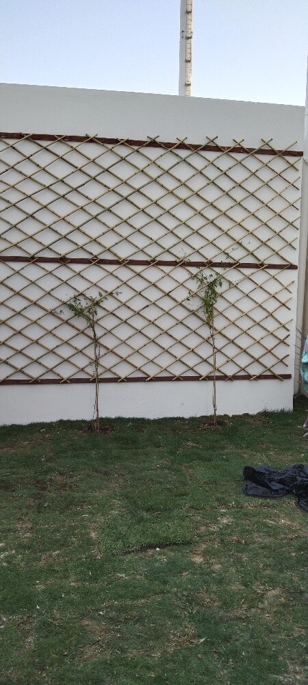 Garden decor - 19
