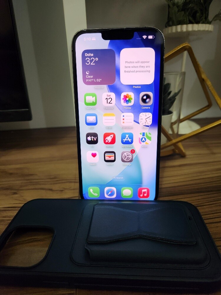 Iphone 13 Pro Max 256gb read detail - 4