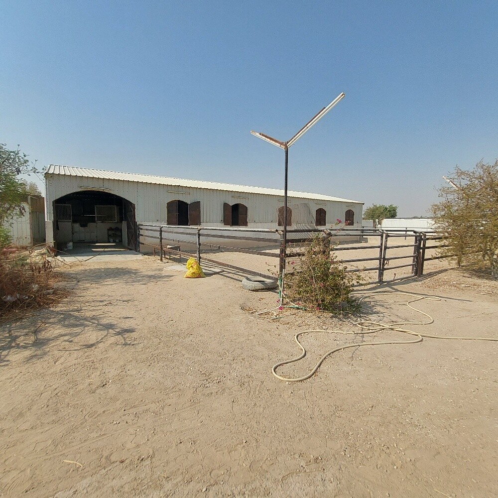 عزبة ابو نخلة - 1
