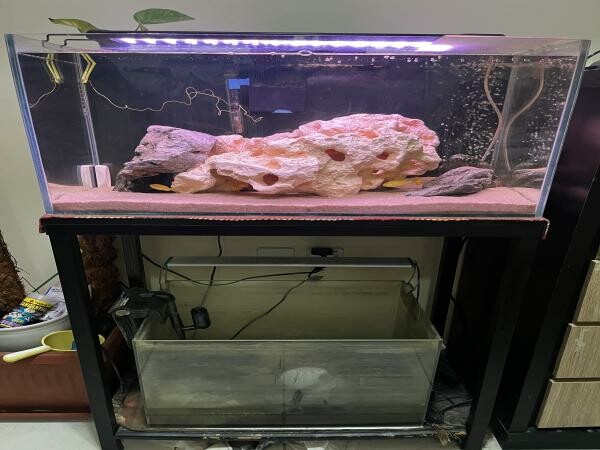 Full set Aquarium with Stand - 5