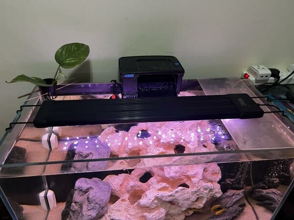 Full set Aquarium with Stand - 4